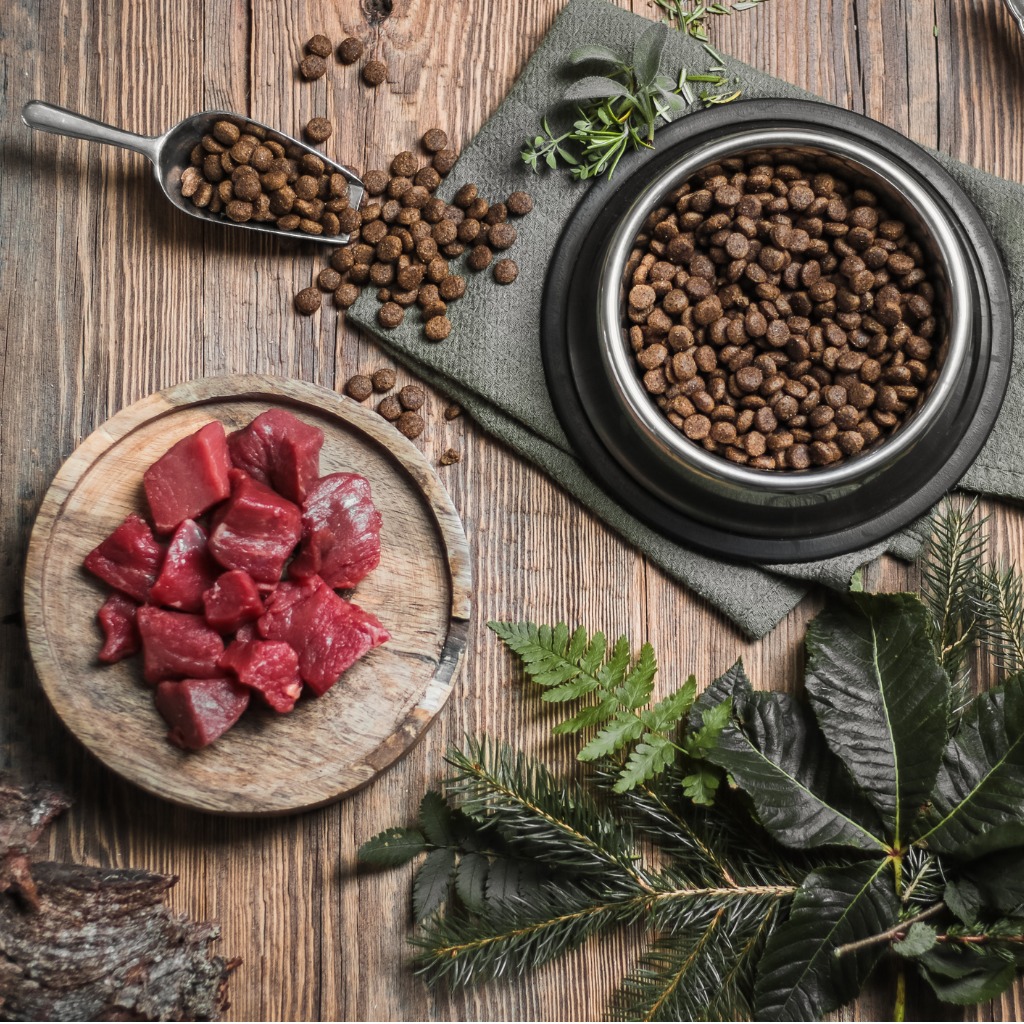 Hochwertiges Katzenfutter – So erkennt man es