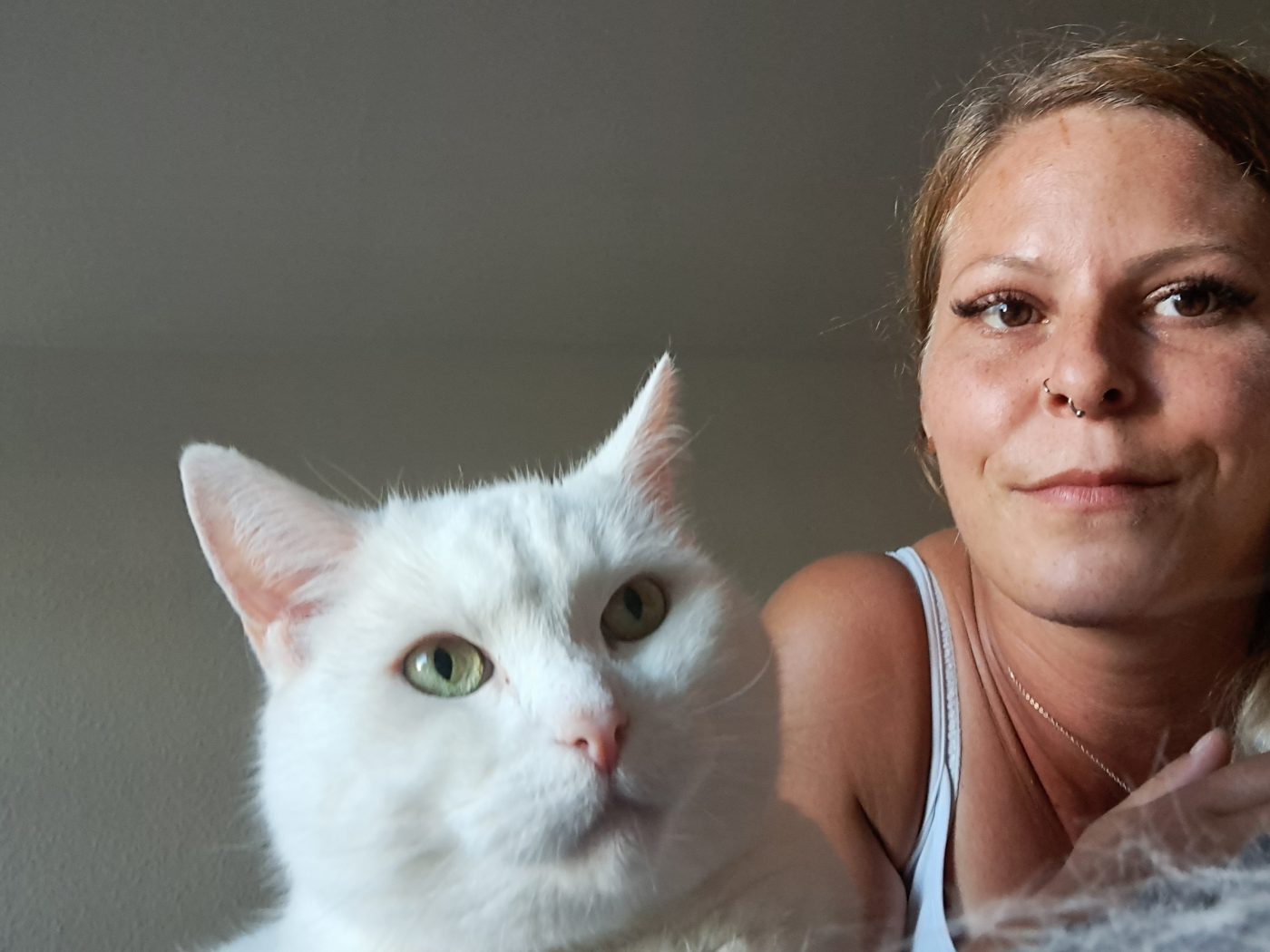 Auf dem Bild sieht man weiße Katze zusammen mit dem Katzensitter Purrfect mobile Katzenbetreuung