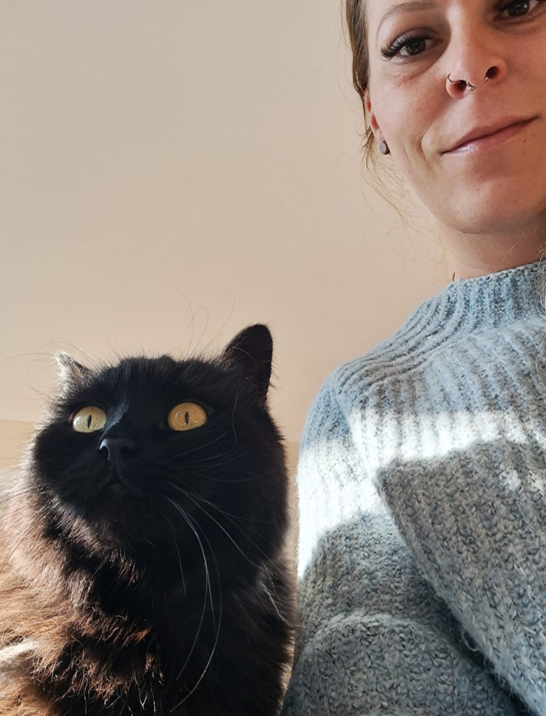 Auf dem Bild sieht man eine schwarze British Langhaar Katze , zusammen mit dem Katzensitter Purrfect mobile Katzenbetreuung Berlin