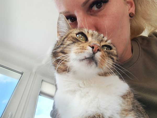 Auf dem Bild sieht man den Katzensitter von Purrfect mobile Katzenbetreuung Berlin zusammen mit getigerter Katze