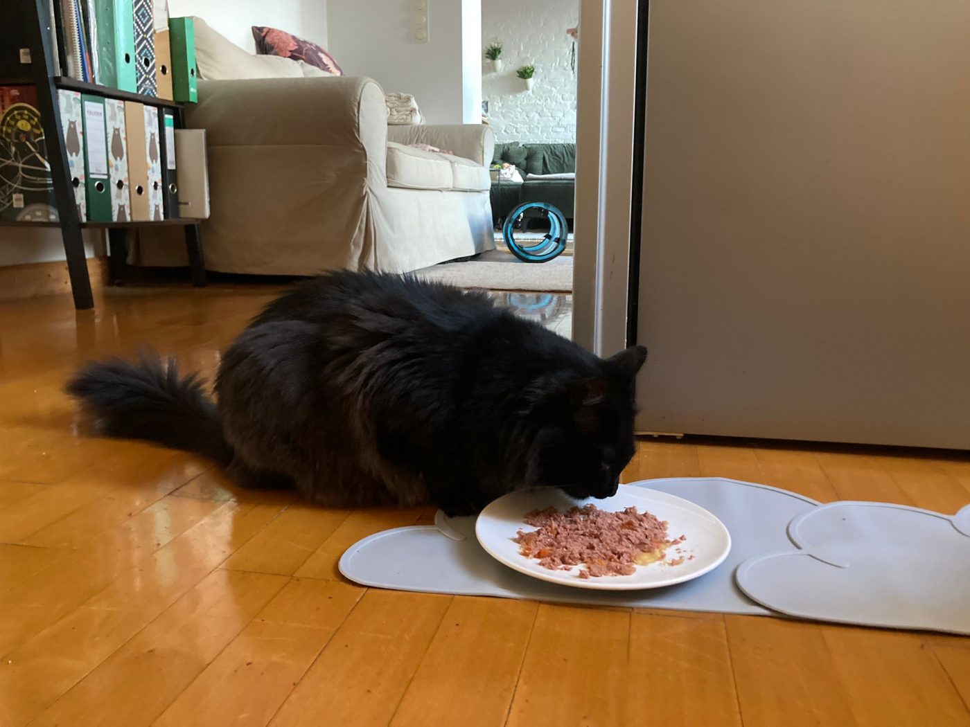 Auf dem Bild sieht man schwarzen Kater fressen an einem sauberen Futterplatz, betreut von Purrfect mobile Katzenbetreuung
