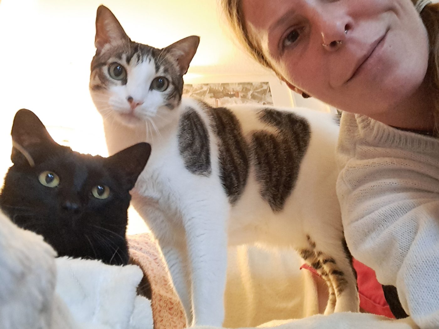 Saskia, Katzensitter in Berlin mit ihren zu betreuenden Katzen